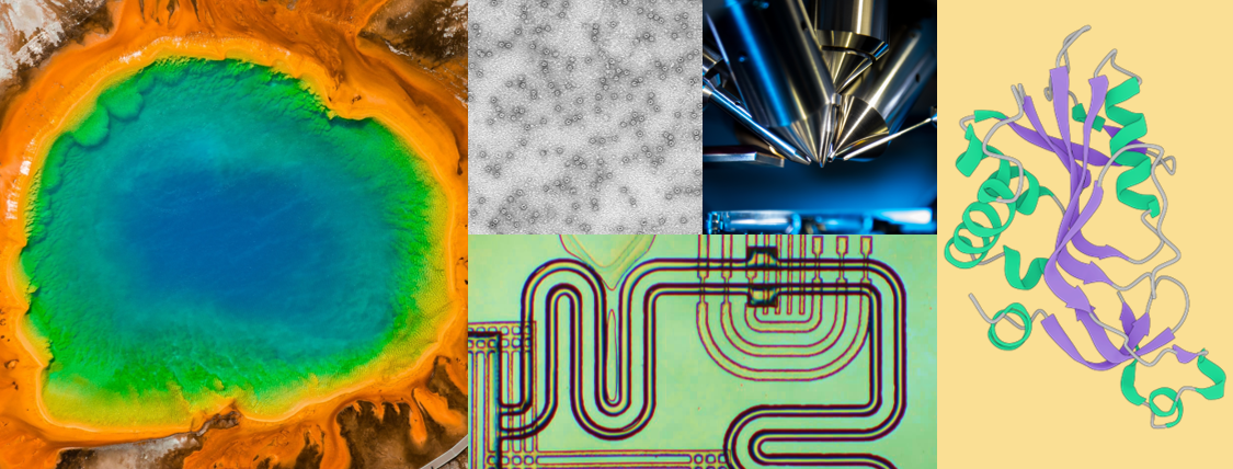 PROHITS Newsletter, Issue 2.